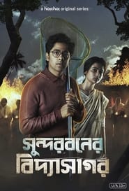 Sundarbaner Vidyasagar: Season 01 Bengali Series Download & Watch Online WEB-DL 480p, 720p & 1080p [Complete]