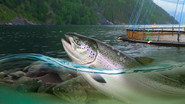 Norway's New Oil