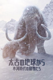 氷河時代の動物たち