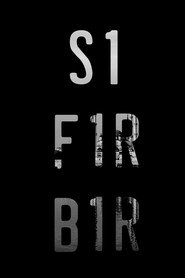Sifir Bir постер