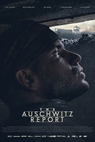 The Auschwitz Report