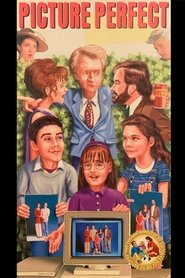 Poster Picture Perfect 1995