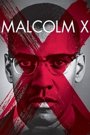 Malcolm X film streaming