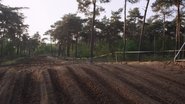 Jeffrey Herlings: Platinum
