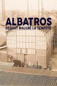 Poster Albatros, debout malgré la tempête 2010