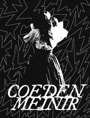 Poster Coeden Meinir