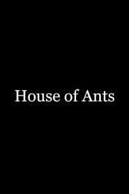House of Ants
