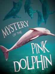 The Mystery of the Pink Dolphin постер