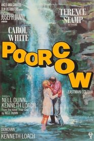 Poor Cow 1967 estreno españa completa en español latino