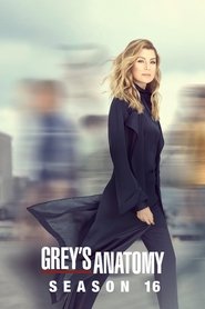 Grey’s Anatomy Season 16 Episode 1