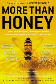 More Than Honey More Than Honey