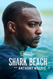 Poster Shark Beach with Anthony Mackie