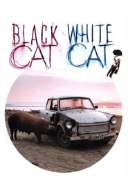 Poster Black Cat, White Cat 1998