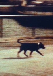 Poster Space Dog Assassin 1998