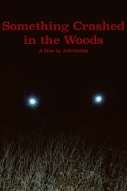 Poster Something Crashed in the Woods 2019