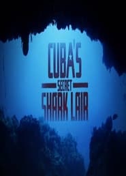 Tiburones gigantes de Cuba