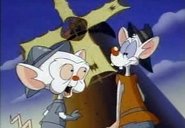 Pinky and the Brain - Episode 1x17