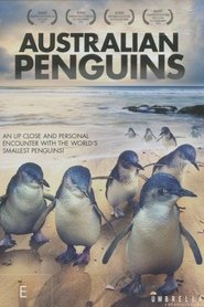 Poster Australian Penguins 2018