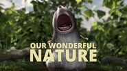 Our Wonderful Nature en streaming