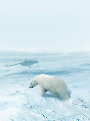Arctic from Above постер