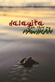 Poster Dalagita sa Likod Pawikan 2020