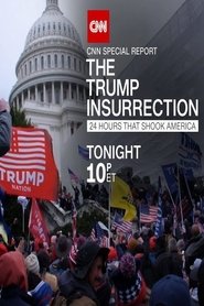 The Trump Insurrection (2021) Cliver HD - Legal - ver Online & Descargar