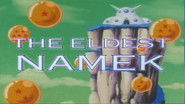 The Eldest Namek