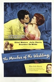 The Member of the Wedding постер