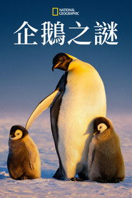 企鹅的秘密
