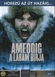 Ameddig a lábam bírja 2001 Teljes Film Magyarul Online