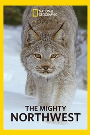 The Mighty Northwest (2018) The Mighty Northwest (2018)