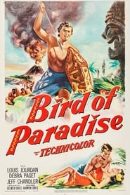 Bird of Paradise постер