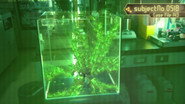 The Secret of Helheim Forest