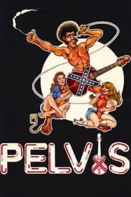 Pelvis постер