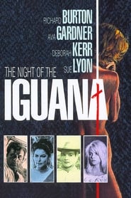 The Night of the Iguana постер