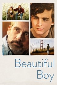 Beautiful Boy (2018)