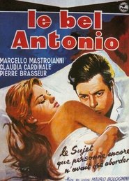 Le bel Antonio (1960)