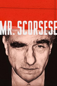 Mr. Scorsese poster