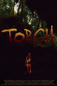 Torch постер