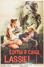 watch Torna a casa Lassie! now