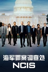 海军罪案调查处