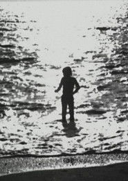 Mouches Volantes (1976)