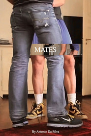 Mates постер