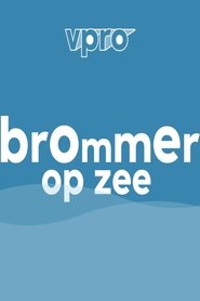 Brommer op zee