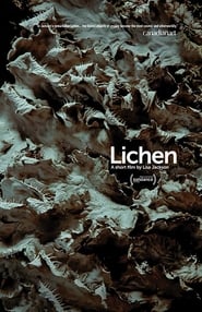 Lichen poster