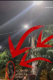 Vigilante de Copas