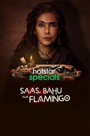 Saas, Bahu Aur Flamingo постер