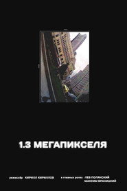 1.3 мегапикселя