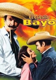 El caballo Bayo постер