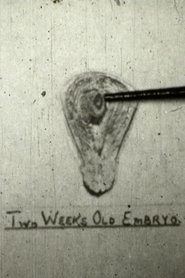 The Creation Of Life (1948)